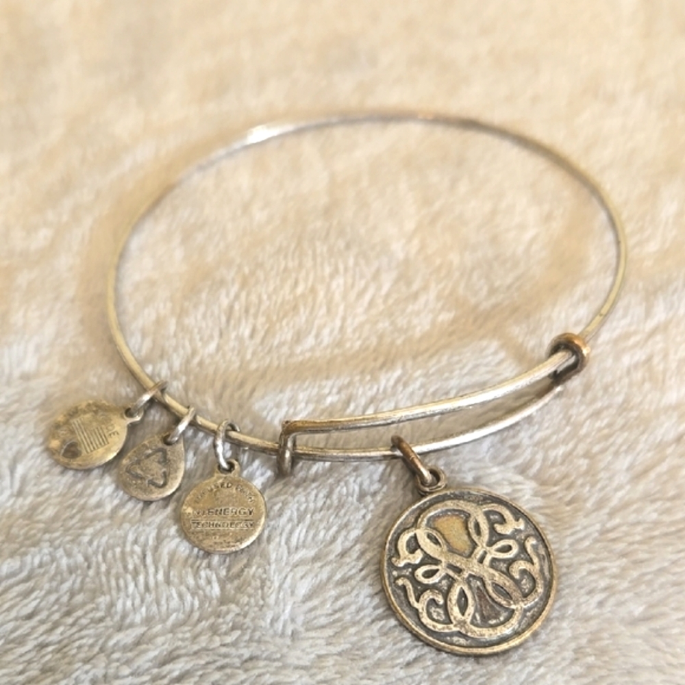 #042 Alex And Ani Silver Charm Bangle Bracelet - Picture 1 of 3